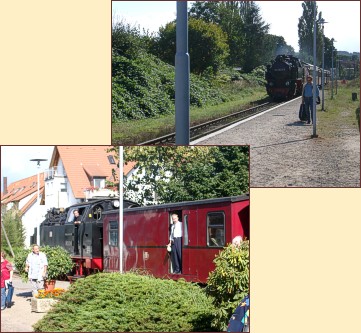 Ferienwohnungen Kühlungsborn: Bahnhof Kleinbahn Molli